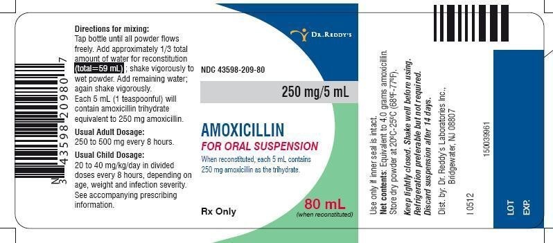 AMOXICILLIN