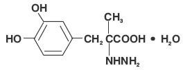 Carbidopa and Levodopa