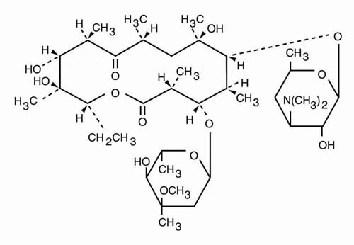 ERYTHROMYCIN