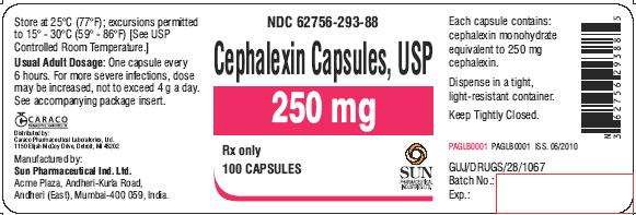 cephalexin