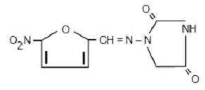 NITROFURANTOIN MACROCRYSTALS