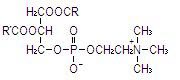 Intralipid