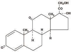 PREDNISONE