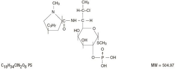 Clindamycin Phosphate