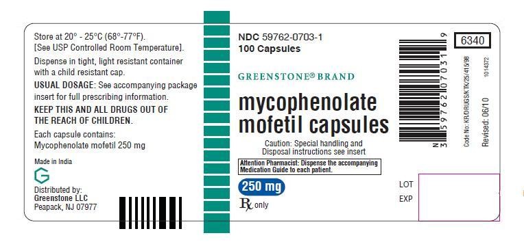 mycophenolate mofetil
