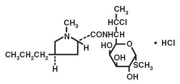 clindamycin hydrochloride