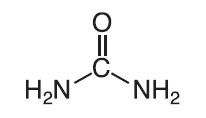 Urea