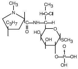 Clindacin P