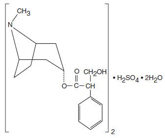 HYOSCYAMINE SULFATE