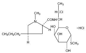 Clindamycin Hydrochloride