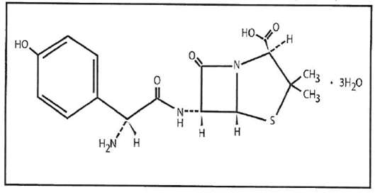 Amoxicillin