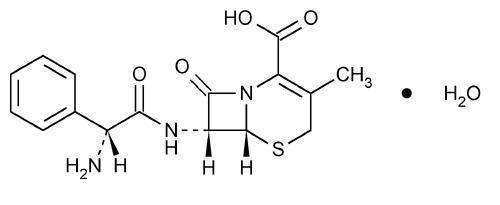 Cephalexin