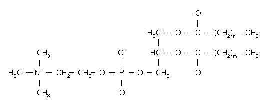 DOXIL