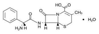 Cephalexin