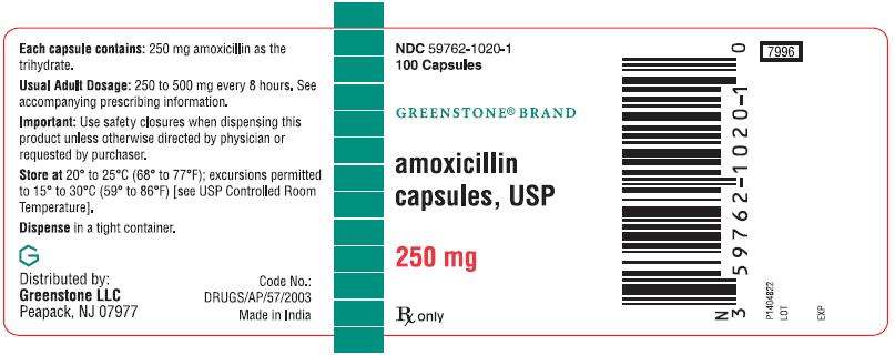 Amoxicillin