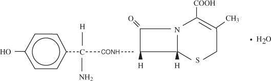 Cefadroxil