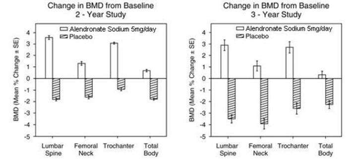 alendronate sodium