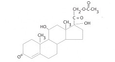 Cortifoam