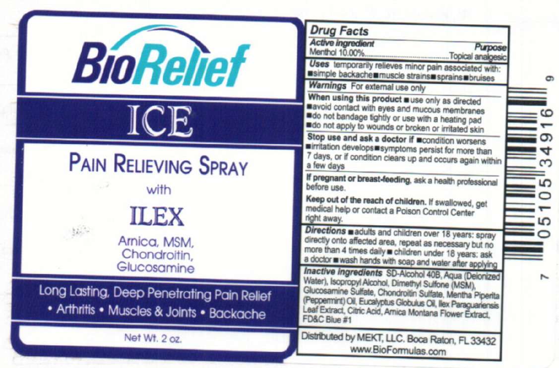 BioRelief Ice Pain Relieving
