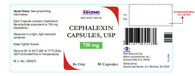 Buy Cephalexin Usa