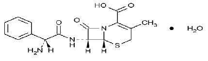 Cephalexin