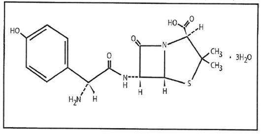 Amoxicillin