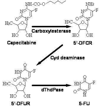 Capecitabine