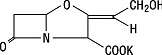 amoxicillin and clavulanate potassium