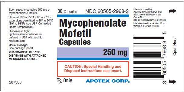 Mycophenolate Mofetil