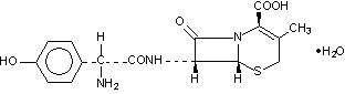 Cefadroxil