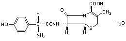 Cefadroxil