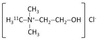 Choline C 11