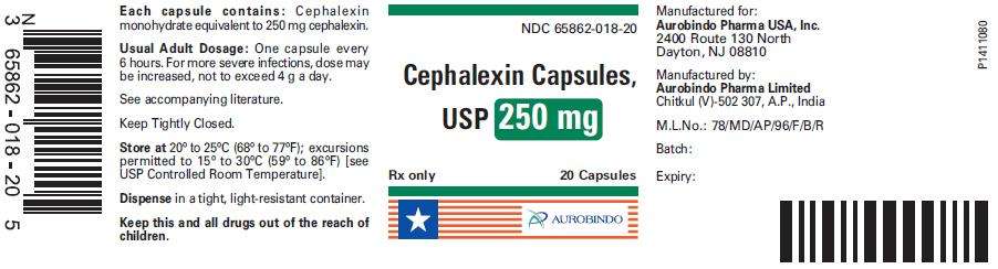 Cephalexin