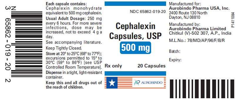 Cephalexin