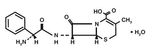 cephalexin