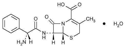 Cephalexin