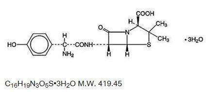 AMOXICILLIN