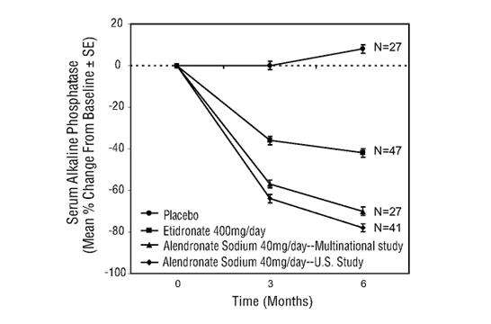 ALENDRONATE SODIUM