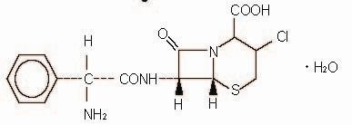 Cefaclor