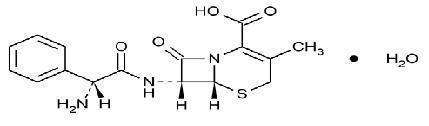 Cephalexin