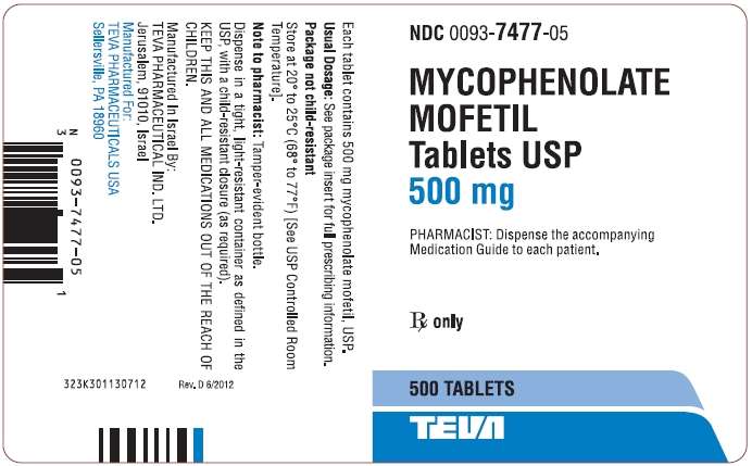 Mycophenolate Mofetil