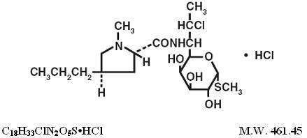 Clindamycin Hydrochloride