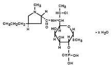 clindamycin phosphate