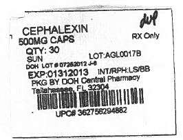 cephalexin