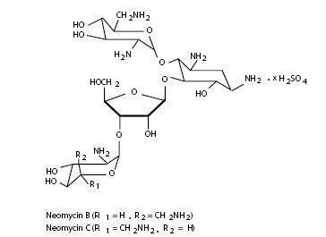 Neomycin and Polymyxin B Sulfates and Hydrocortisone