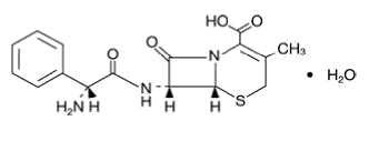 Cephalexin