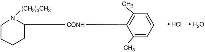 Bupivacaine Hydrochloride and Epinephrine