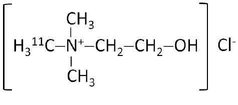 Choline C 11