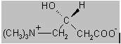 Carnitor