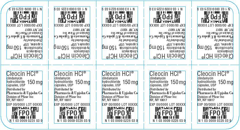 Cleocin Hydrochloride